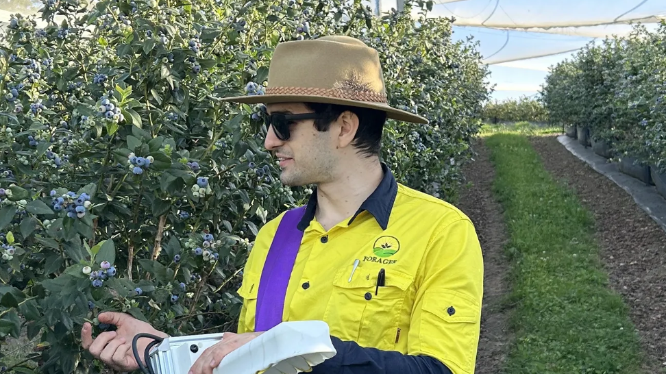 Matt Lakis, Founder & CEO