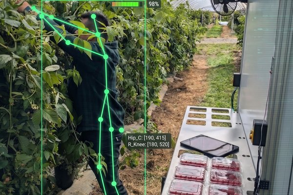 Forager platform autonomously navigating through raspberry rows